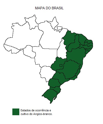 Mapa de região