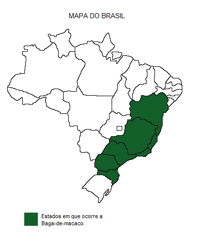 Mapa de região