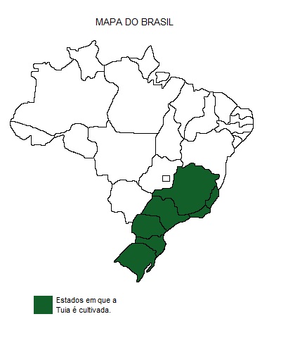 Mapa de região