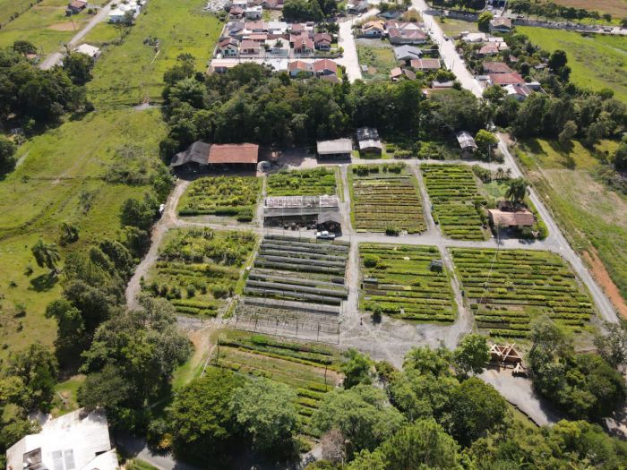 Vista aérea do Viveiro Florestal Mudar e do bairro em volta, em Agrolândia/SC